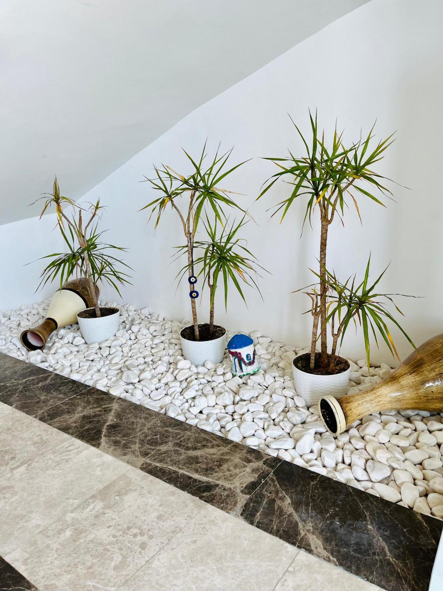 As Hotel Çeşme Dış mekan fotoğraf